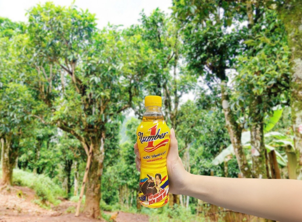 Amidst the clouds and mountains of Tua Chua, Linh began a Amid the White Clouds of Tủa Chùa, a Young Woman Lights Up Her Passion for Vietnam’s Shan Snow Tea