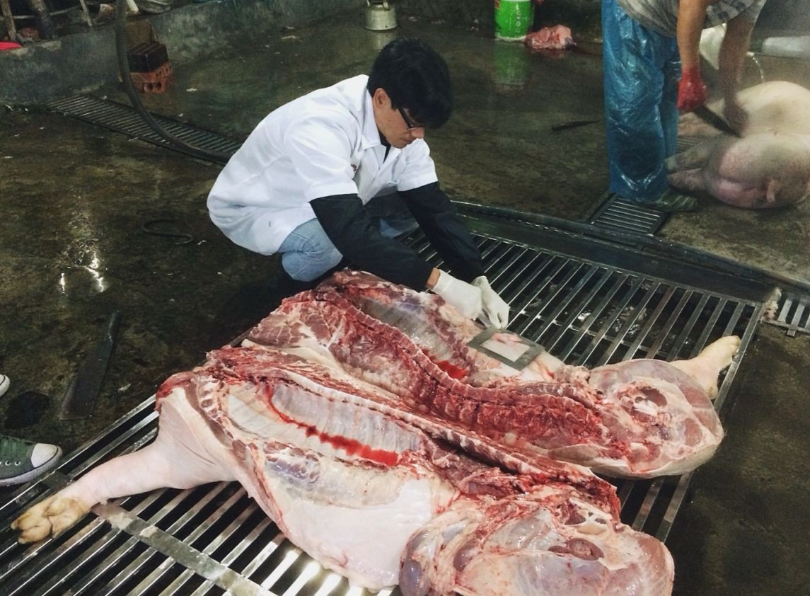 A Decade of Research Enhancing Food Safety: ILRI’s Contribution in Viet Nam A Decade of Research Enhancing Food Safety: ILRI’s Contribution in Viet Nam