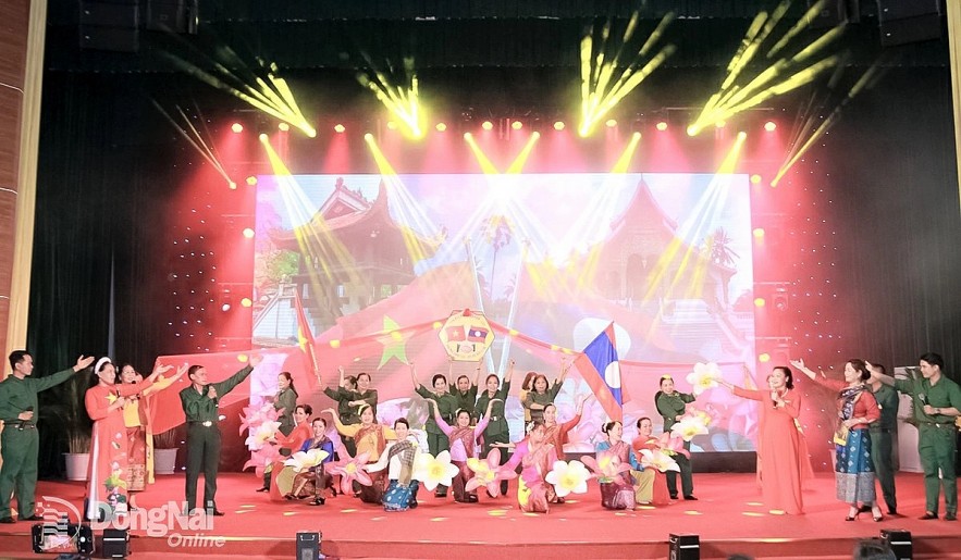 Dong Nai Union of Friendship Organizations: Friendship Flourishes Through Creativity Dong Nai Union of Friendship Organizations: Friendship Flourishes Through Creativity