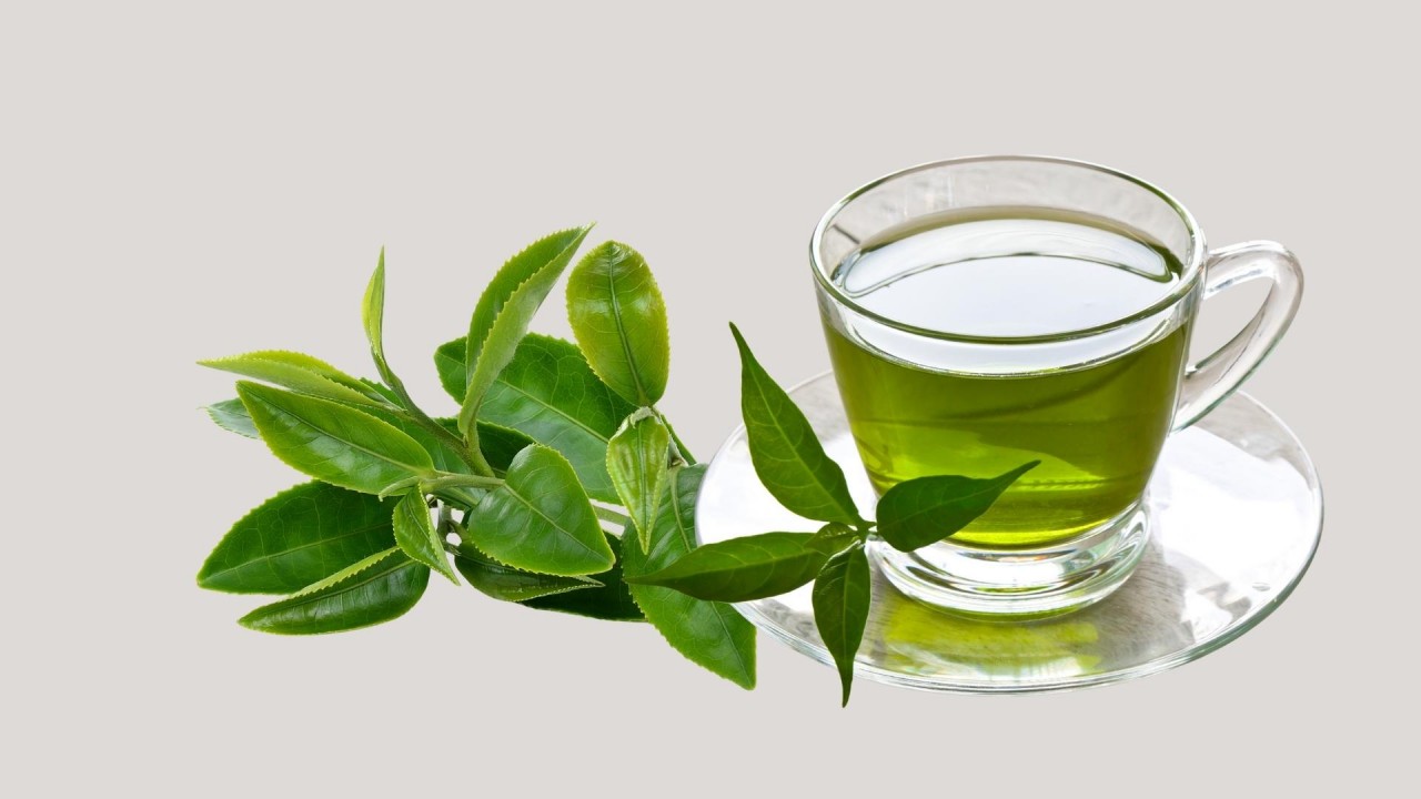 Why You Should Drink Green Tea Every Day?