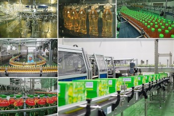 Why Millions Trust Zero Degree Green Tea: A Story of Innovation, Quality, and Sustainability in Vietnam’s Beverage Industry