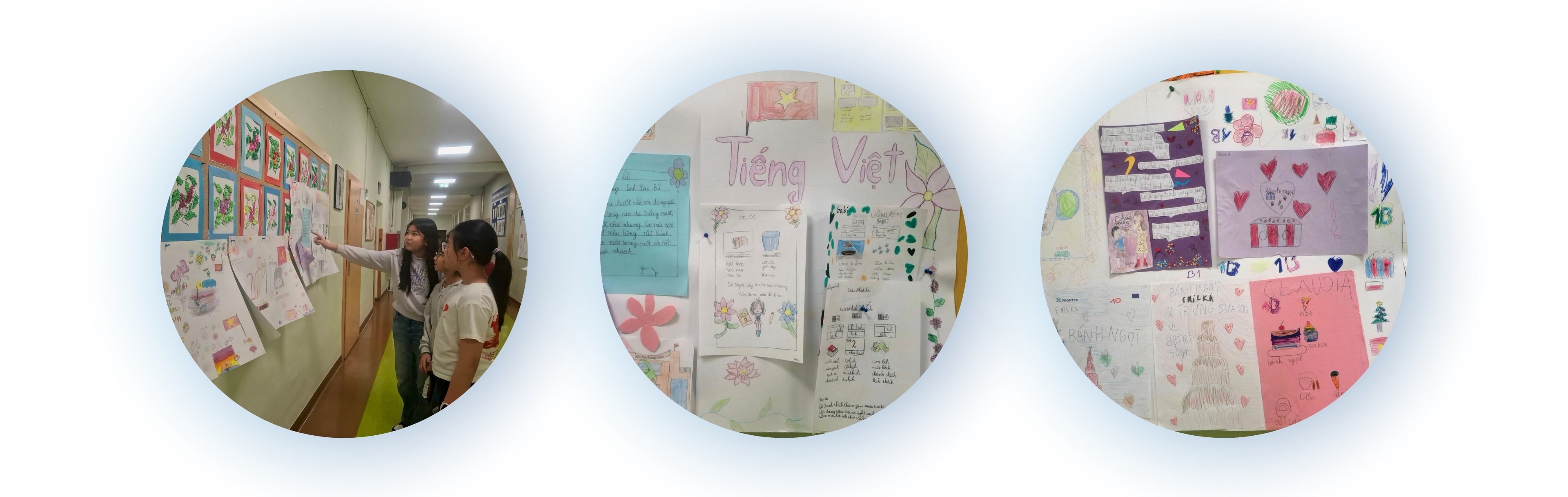 Synchronized Efforts and Strong Determination to Ensure Vietnamese Language Spreads and Endures