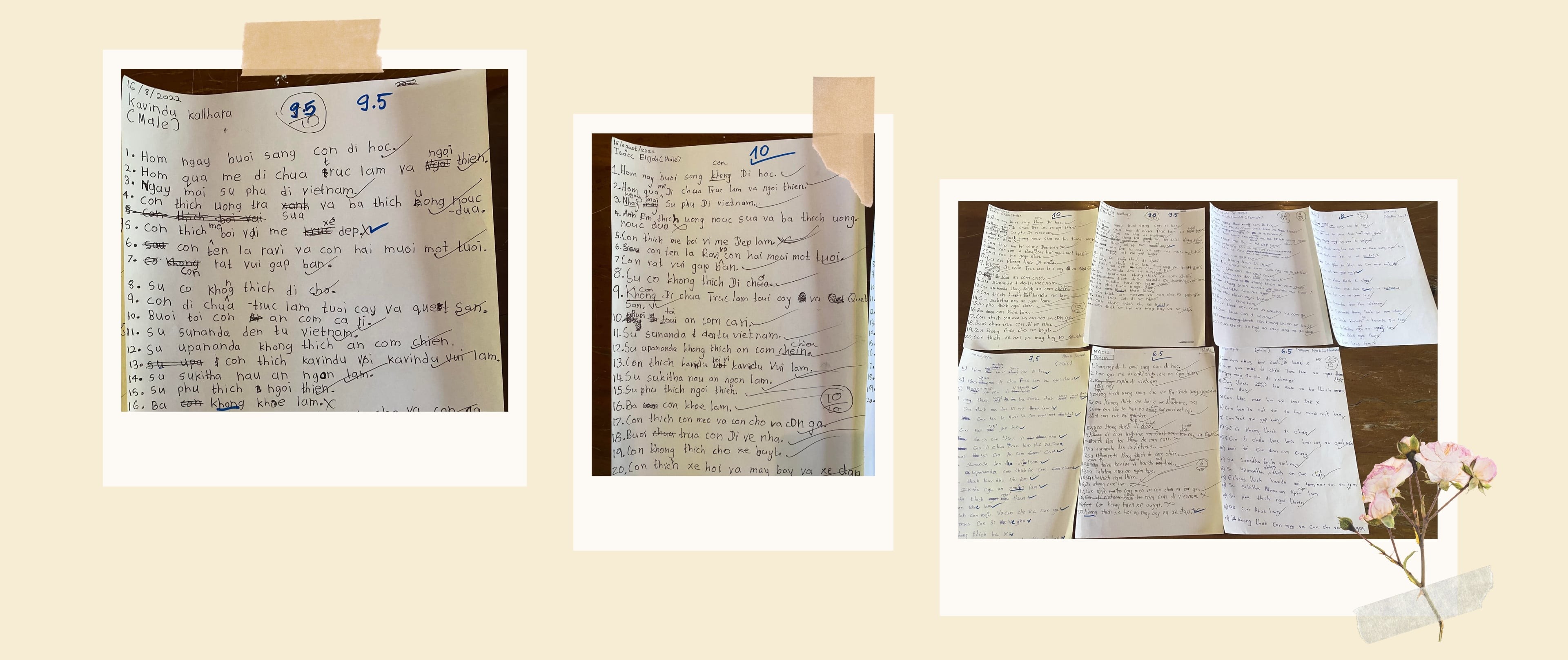 Journey of Spreading Vietnamese Language in Sri Lanka