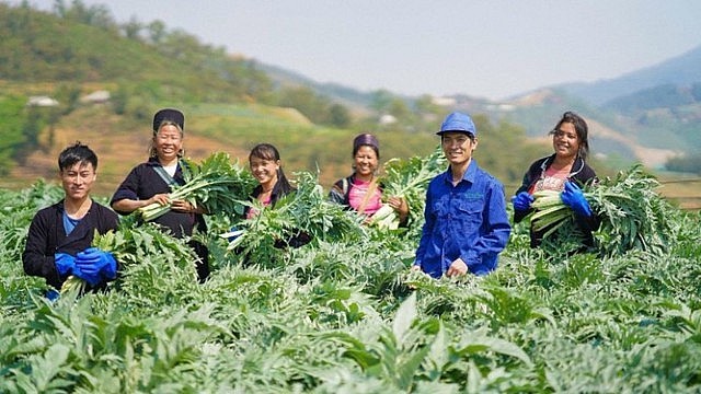 In Viet Nam, surveys of medicinal genetic resources have recorded 5,117 species, including many rare and valuable medicinal plants, along with a rich repository of traditional medicine knowledge that has been accumulated over many generations.