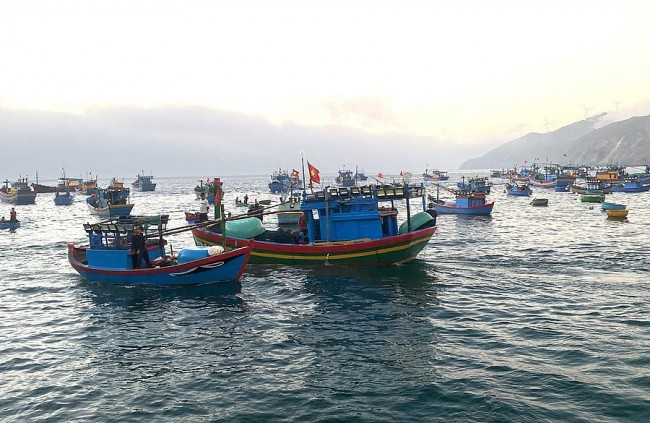 Decisive Implementation of the New Decree to Combat IUU Fishing
