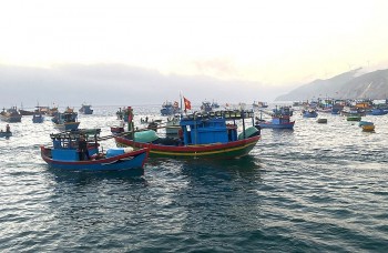 Decisive Implementation of the New Decree to Combat IUU Fishing