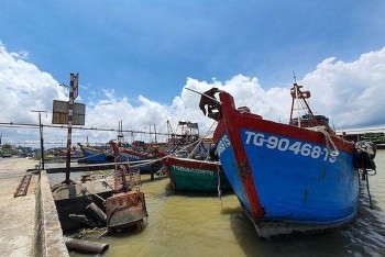 Enterprises Violating IUU Regulations to Be Expelled from VASEP
