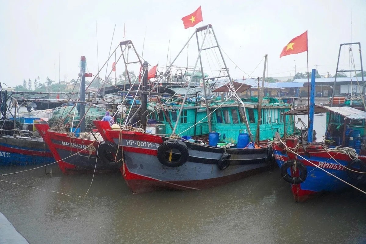 100% of eligible fishing vessels in Hai Phong have been issued fishing licenses. (Photo: Agriculture and Environment Newspaper)