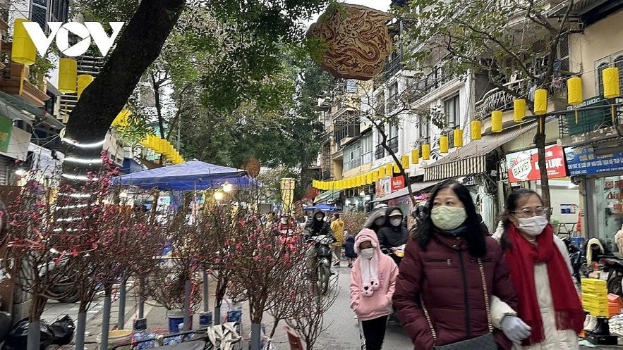 Vietnam may see severe cold during the Lunar New Year 2026 as multiple cold air surges are forecast from late January into early February.