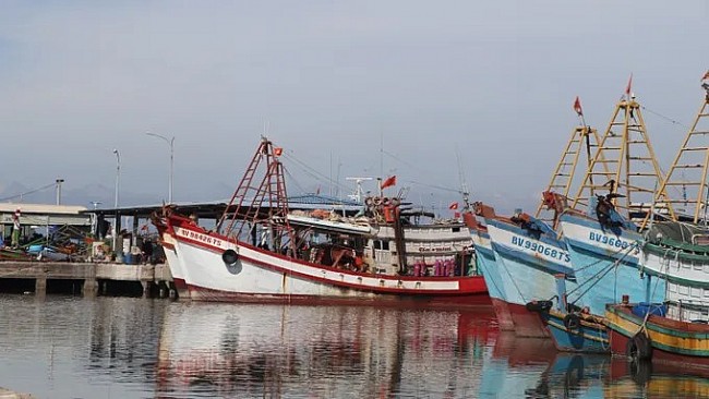 FIP Vung Tau: A Public-Private Partnership Model Promoting Sustainable Trawl Fisheries