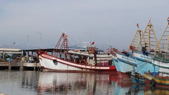 FIP Vung Tau: A Public-Private Partnership Model Promoting Sustainable Trawl Fisheries