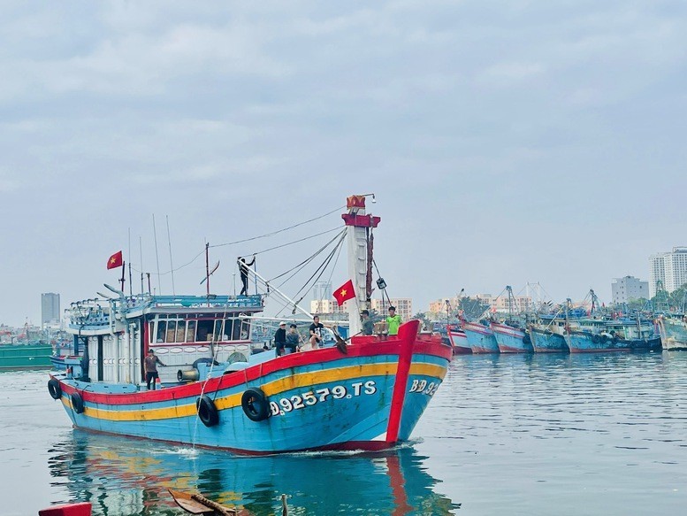 New Decree Guiding Implementation of Fisheries Law: Tightening Fishing Vessel Management and Combating IUU Fishing