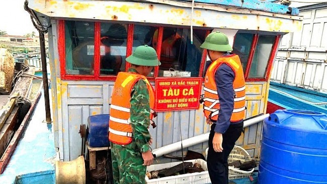 Quang Tri Tightens Fleet Management, Finalizes Documentation for EC Inspection on IUU Fishing