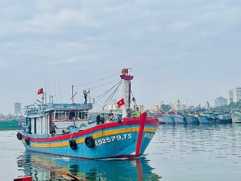 New Decree Guiding Implementation of Fisheries Law: Tightening Fishing Vessel Management and Combating IUU Fishing