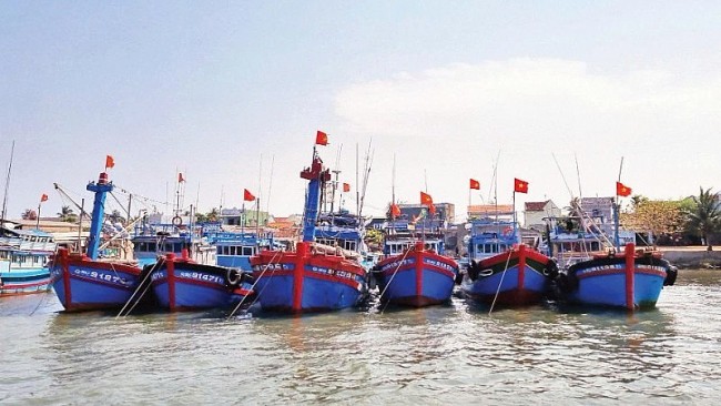 Quang Tri Advances Sustainable Fisheries Through Fishing Vessel Conversion Plan