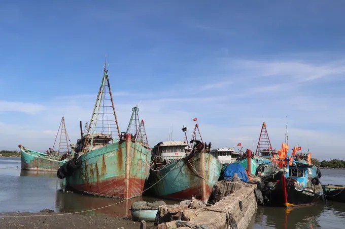 Ministry of Science and Technology Reviews Tech Infrastructure to Combat IUU Fishing in Ho Chi Minh City