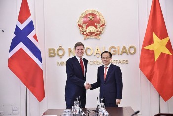 Vietnam News Today (Feb. 11): Vietnam Values Strengthening Multifaceted Cooperation With Norway