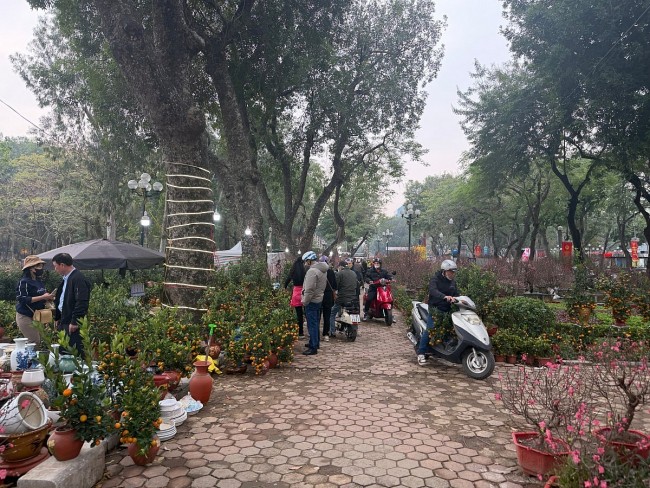 Lunar New Year 2026 (Year of the Horse) Weather Forecast