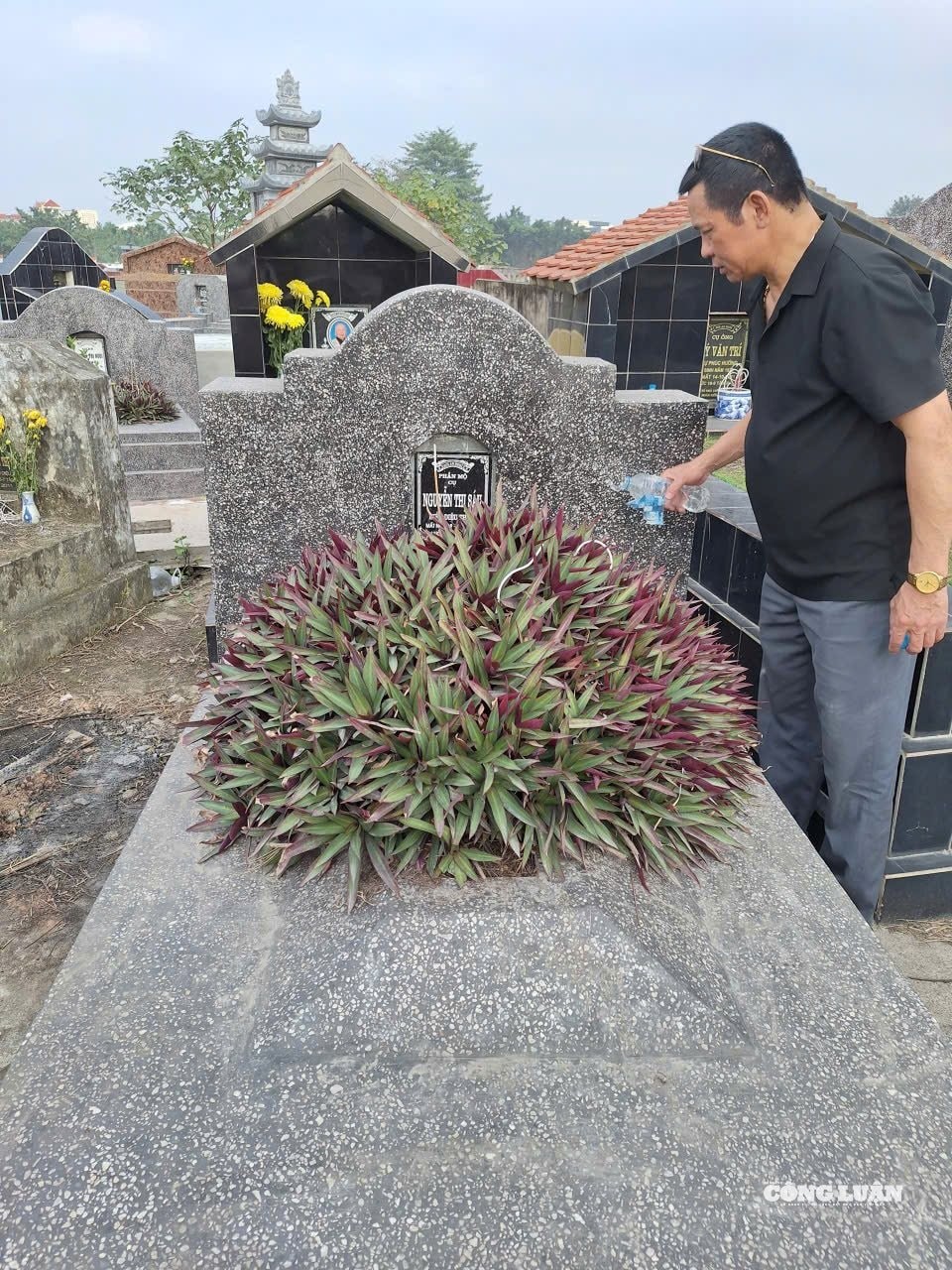 Inviting Ancestors Home for Tet