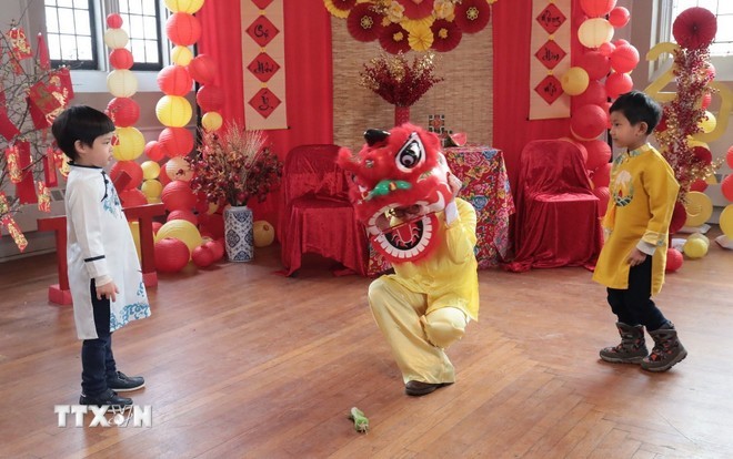 A lion dance performance at the “Tet of the Three Regions – Homeland Spring” event in Pleasantville, Westchester County, New York. (Photo: VNA)