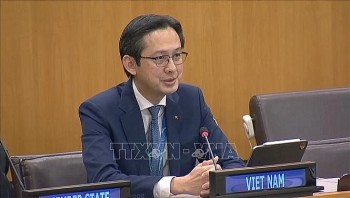 Vietnam Promotes Multilateral Dialogue on Nuclear Non-proliferation Ahead of the 2026 NPT Review Conference