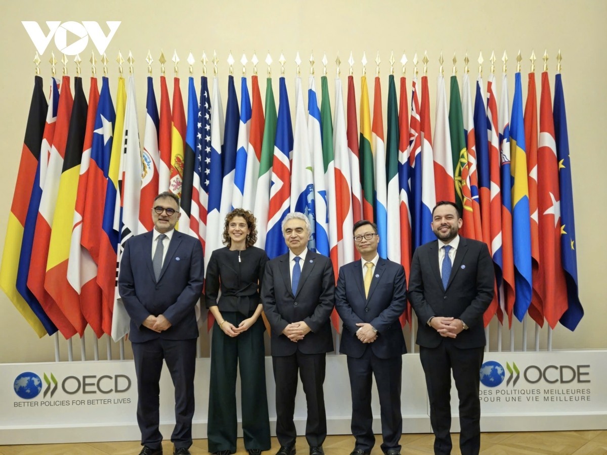 Vietnam Officially Becomes Association Country of International Energy Agency (IEA)