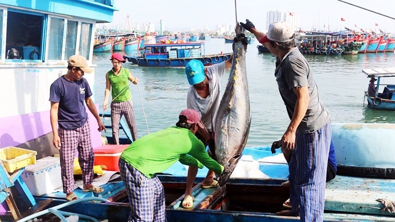 Gia Lai Determined to Remove IUU “Yellow Card” for Fisheries