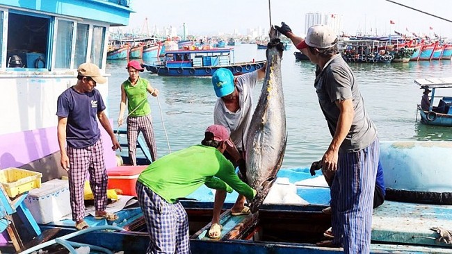 Gia Lai Determined to Remove IUU “Yellow Card” for Fisheries