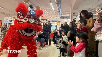 Vietnamese Community in France Bustles with Binh Ngo Spring Fair 2026