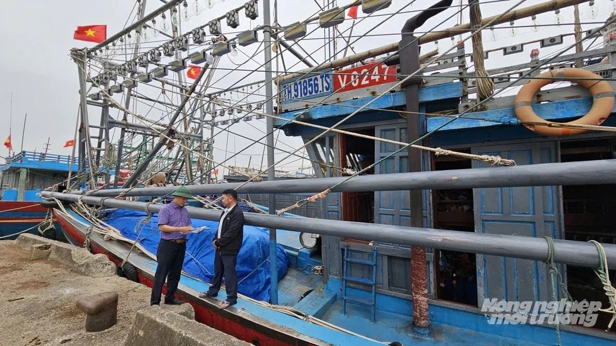 Functional forces disseminate information to fishermen on combating IUU fishing at Thanh Hoa Fishing Port. (Photo: Quoc Toan, Agriculture and Environment Newspaper)