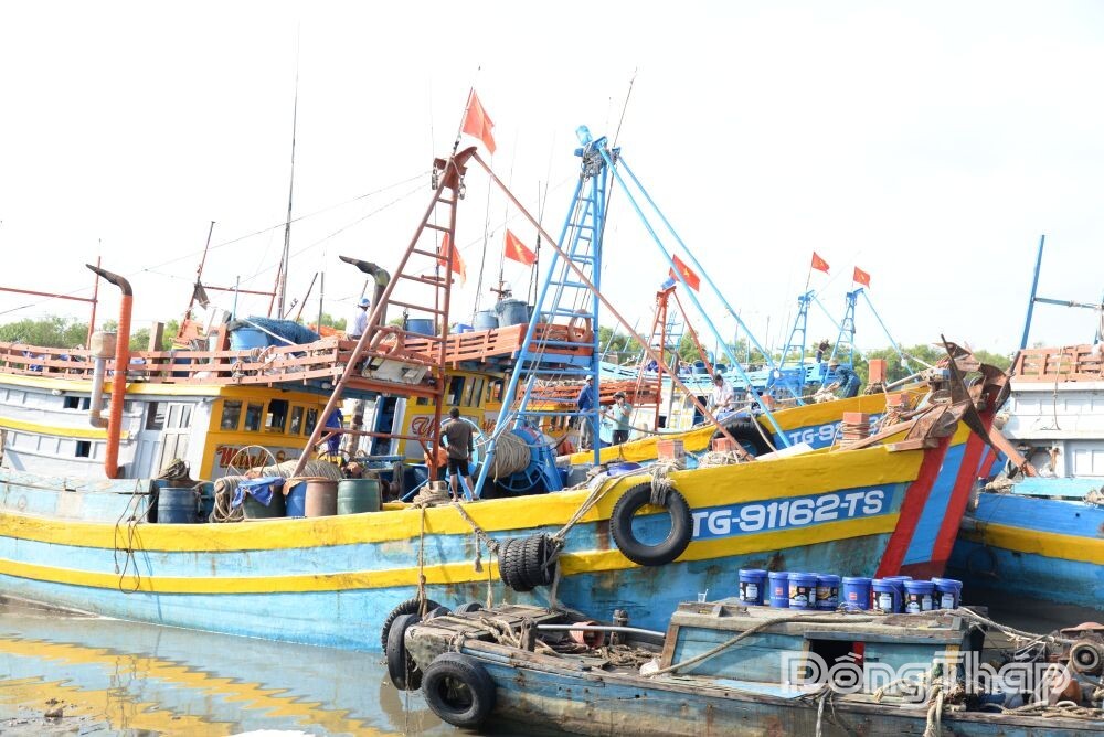 Dong Thap Intensifies Inspections to Combat IUU Fishing