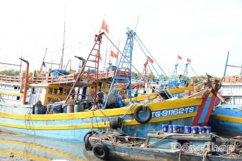 Dong Thap Intensifies Inspections to Combat IUU Fishing