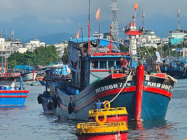 Bountiful Tuna Season Coupled with Tightened IUU Controls: Khanh Hoa Begins the New Year with Sustainable Fishing