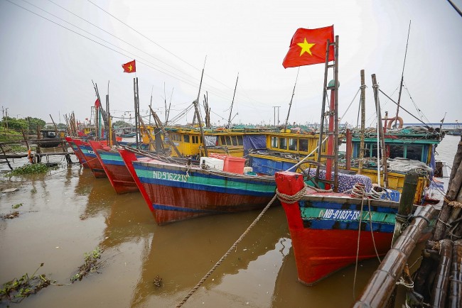Ninh Binh Tightens Management of Fishing Vessels, Prepares for the Fifth EC Inspection Mission