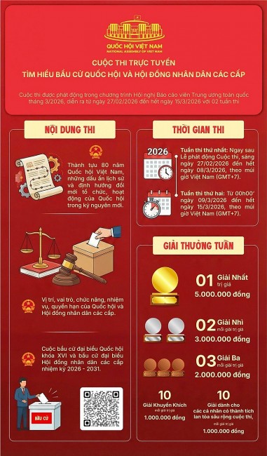 Online Contest on National Assembly and People’s Councils Elections
