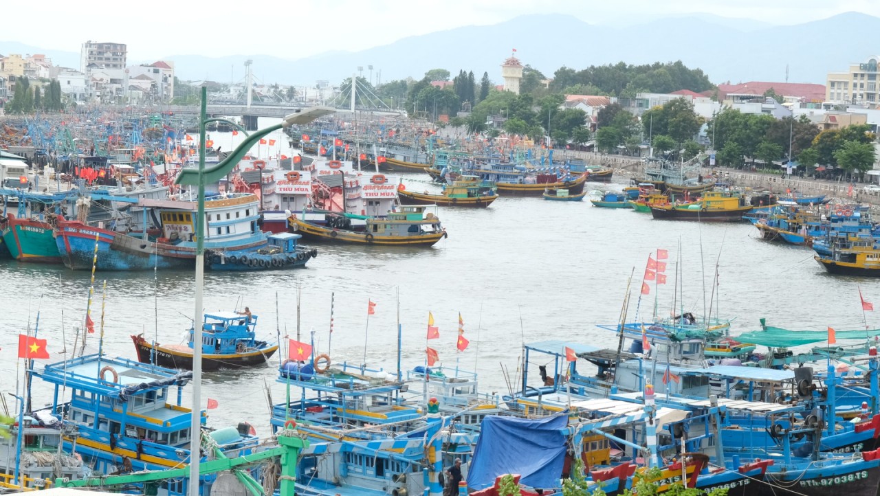 Lam Dong province currently has 8,205 fishing vessels, with fleet management being implemented strictly (Photo: Lam Dong Newspaper)
