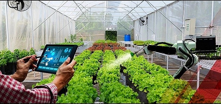 Vietnam and Mexico step up cooperation in high-tech and sustainable agriculture (Illustrative photo)