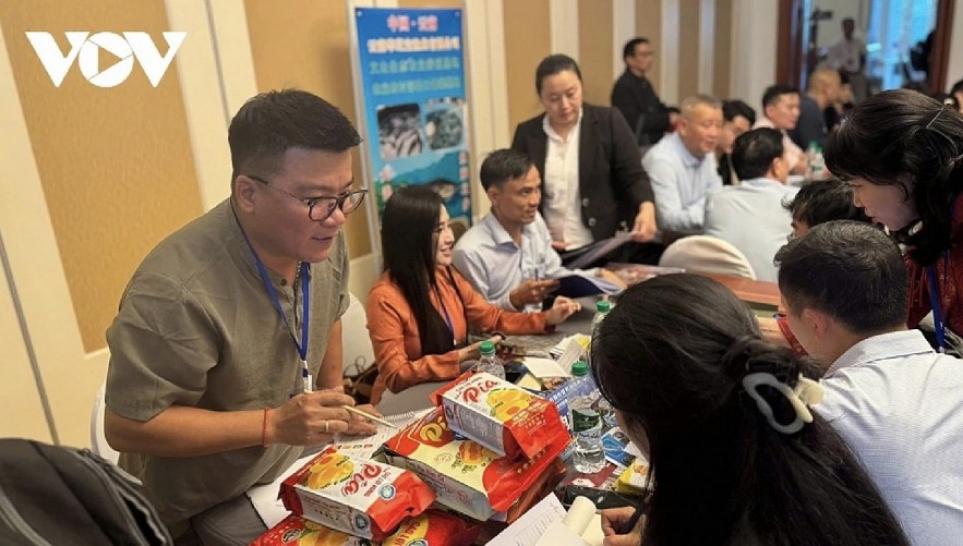 Vietnamese and Chinese businesses participate in a B2B matching session.