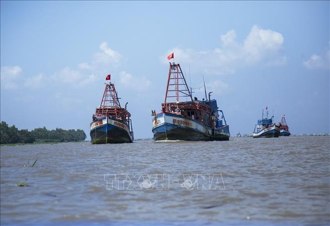 An Giang Sets Strict Roadmap to Address IUU Yellow Card