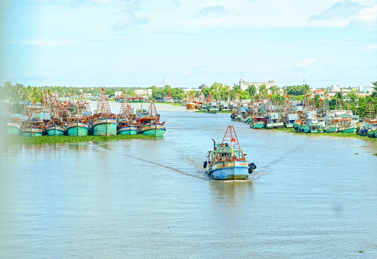 An Giang Combat IUU Fishing Violation by Tightening Boat Management