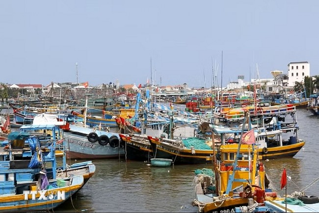 Lam Dong Forms Interagency Task Force to Combat IUU Fishing