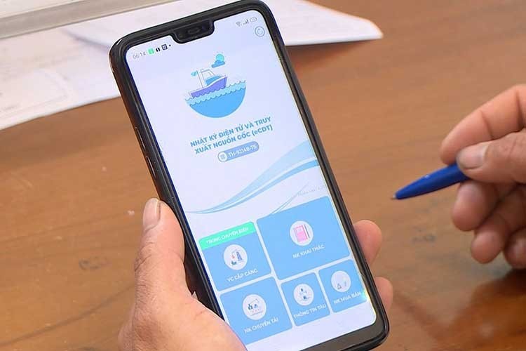 Electronic Fishing Logbooks Drive Modernization in Ho Chi Minh City
