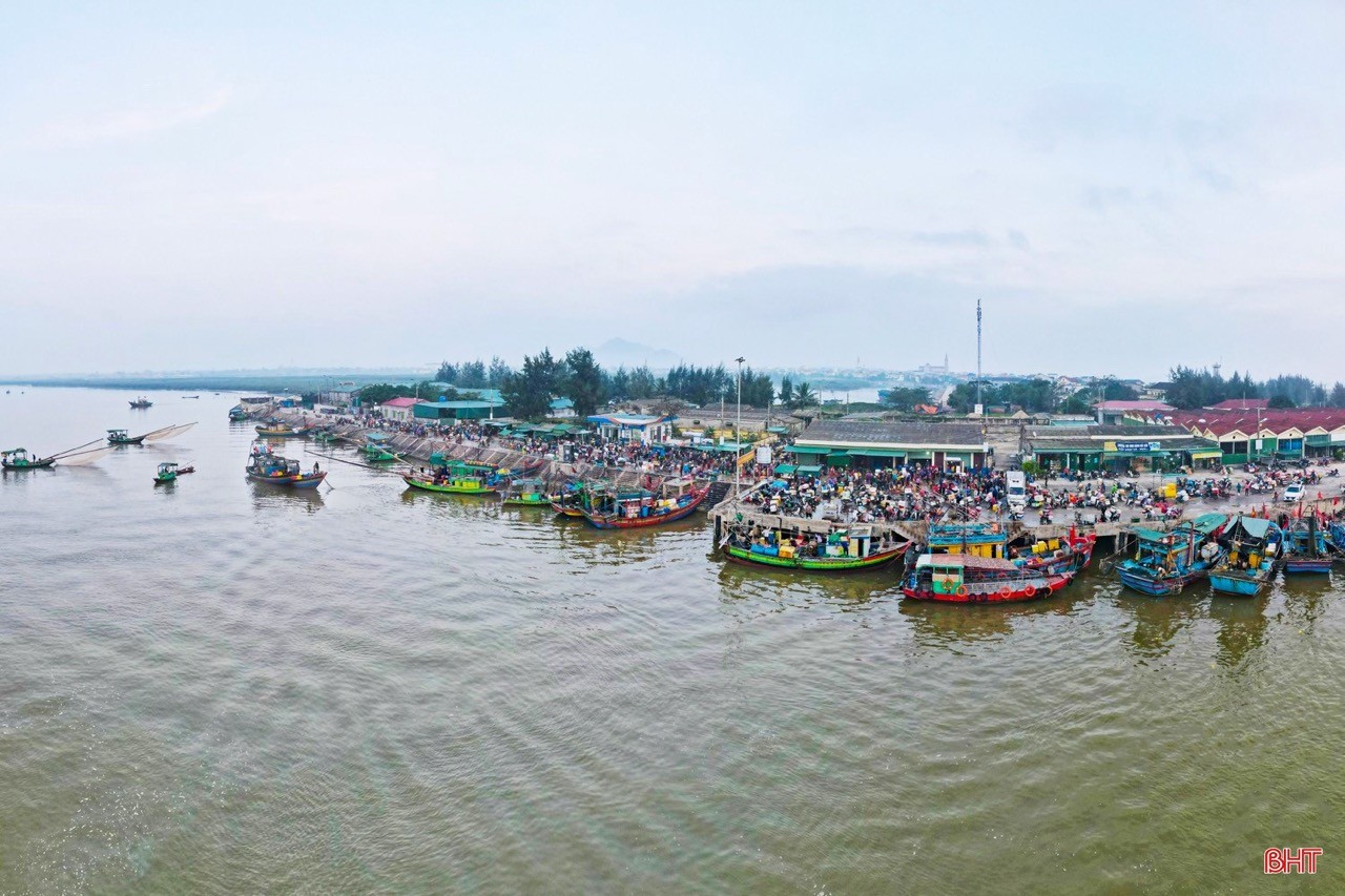 Ha Tinh Continues to Address Remaining Issues in Combating IUU Fishing