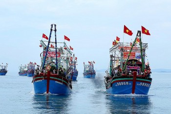 Nghe An Resolutely Addresses Bottlenecks in Combating IUU Fishing