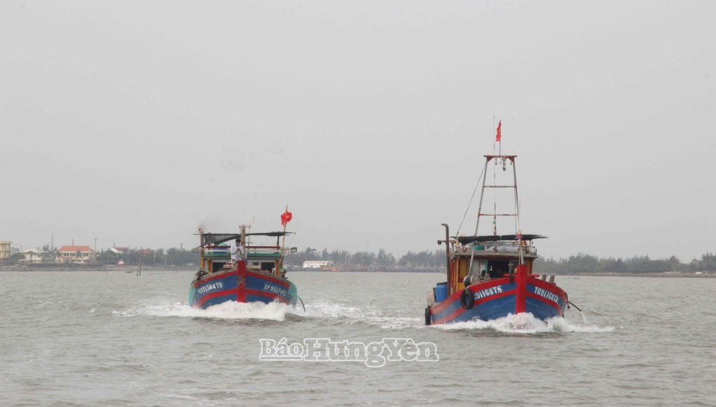 (Photo: Baohungyen.vn).