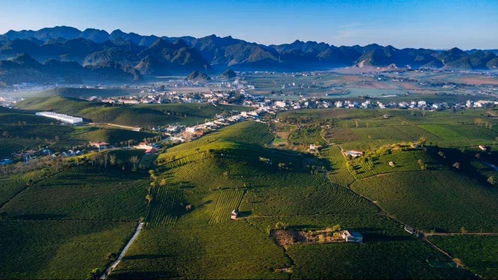 The beauty of the Moc Chau Plateau. (Photo: VPV/Vietnam+) The beauty of the Moc Chau Plateau. (Photo: VPV/Vietnam+)