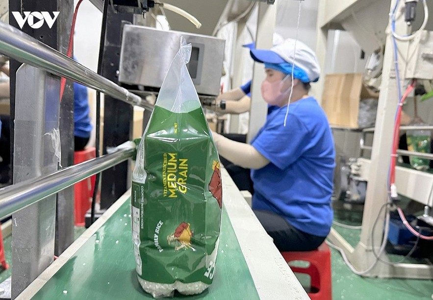 Packaging rice for export in Southern Vietnam. Packaging rice for export in Southern Vietnam.