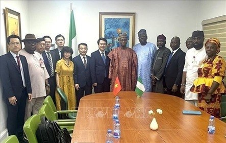 Vietnam Promotes Substantive Cooperation with West African Countries