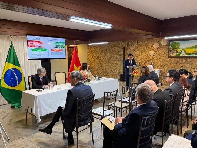 Vietnam, Brazil Review Economic and Trade Cooperation in First Half of 2026