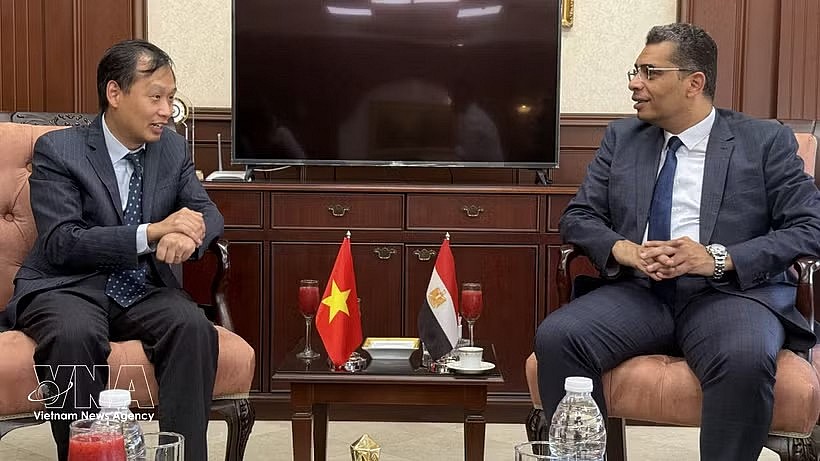 Vietnamese Ambassador to Egypt Nguyen Nam Duong (L) has a working session with Egypt’s Red Sea Governor Walid Al Barqi on July 11. (Photo: VNA) Vietnamese Ambassador to Egypt Nguyen Nam Duong (L) has a working session with Egypt’s Red Sea Governor Walid Al Barqi on July 11. (Photo: VNA)